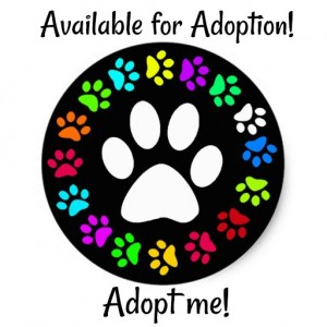 available for adoption