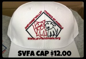 svfa new cap1